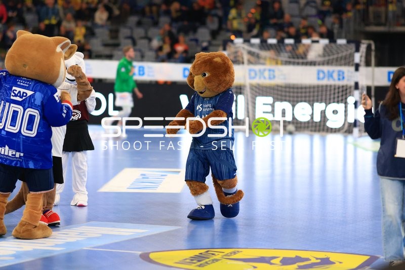 Fan-Szene in SAP-Arena