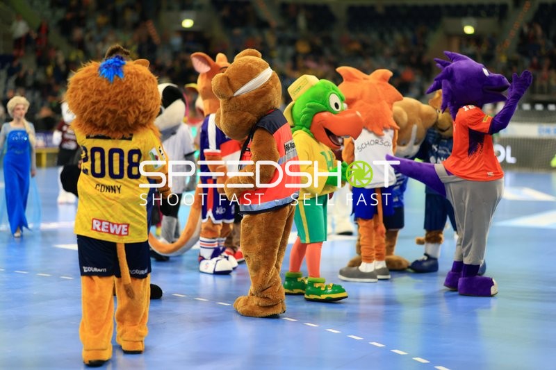 Fan-Szene in der SAP-Arena