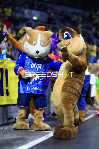 Handball Fans in SAP-Arena