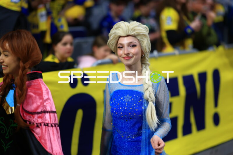 Fan-Szene in der SAP-Arena