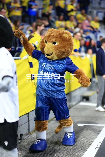 Handball | DAIKIN HBL | Rhein-Neckar-Löwen vs HSG Wetzlar