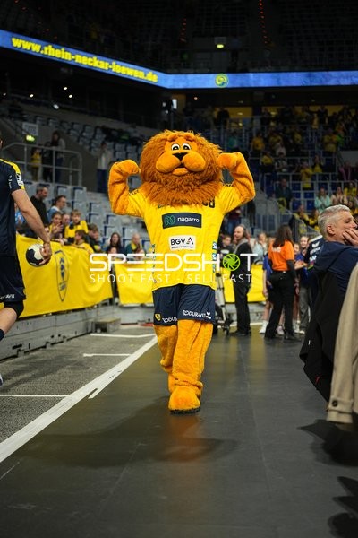 Handball-Fan-Szene in SAP-Arena