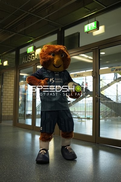 Fan-Szene in SAP-Arena