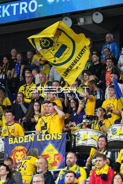 Handball Fans in der SAP-Arena