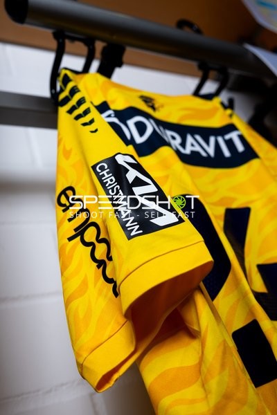 Trikot der Rhein Neckar Löwen