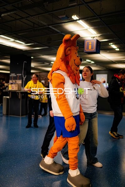 Fan-Szene in der SAP Arena