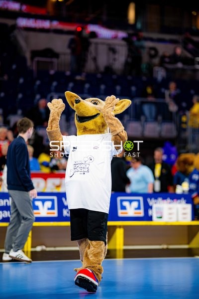 Fan-Szene in der SAP Arena