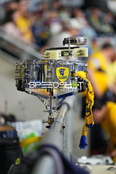 Rhein-Neckar Löwen Fan-Szene