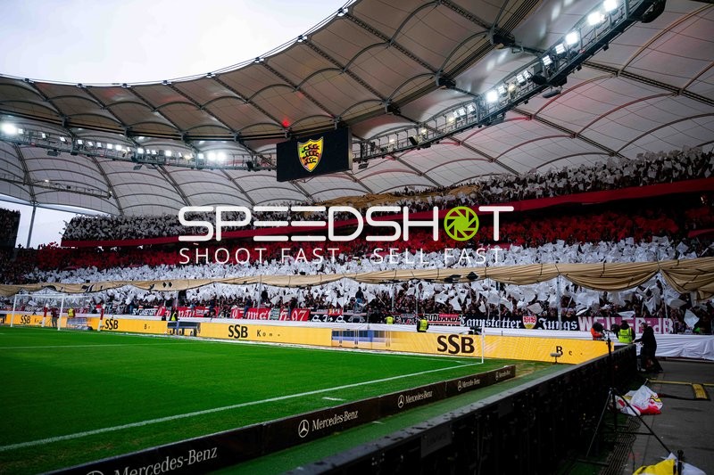 Fans in der MHP Arena