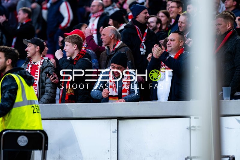 Fans jubeln im Stadion