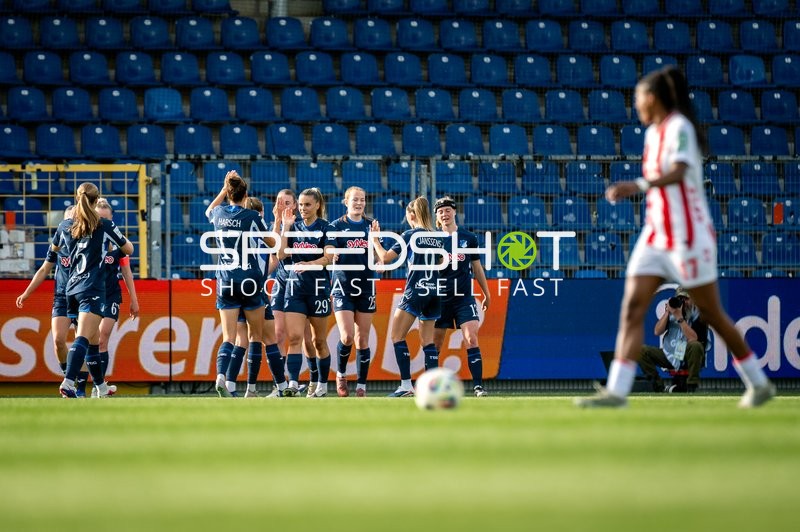 Jubel im Dietmar-Hopp Stadion