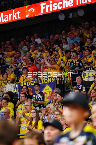 Rhein Neckar Löwen Fans mit Baden Lions Banner in der SAP Arena