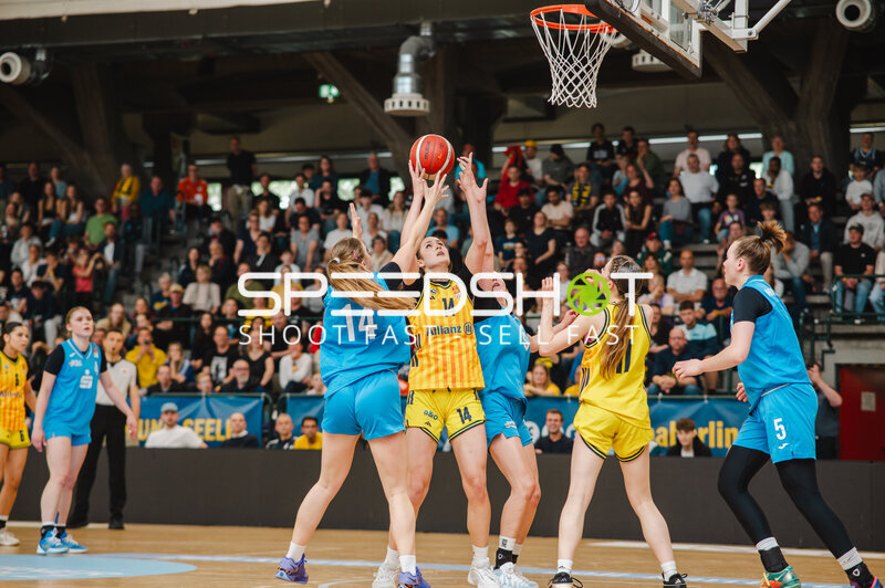 JBBL, NBBL, WNBL Top4 in der Sömmeringhalle
