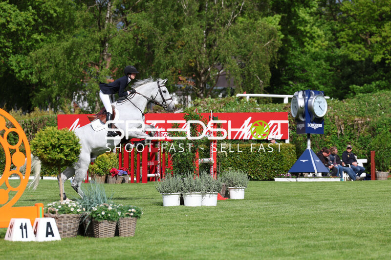 Springreiten im Derbypark Klein Flottbek