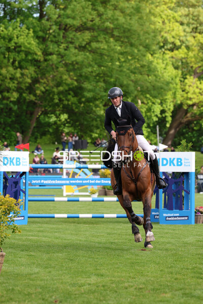 Springreiten im Derbypark Klein Flottbek