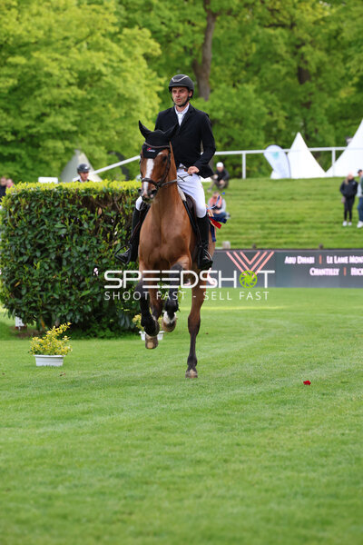 Reiter im Springparcours