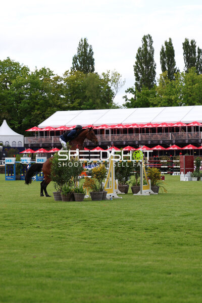 Springreiten im Derbypark Klein Flottbek