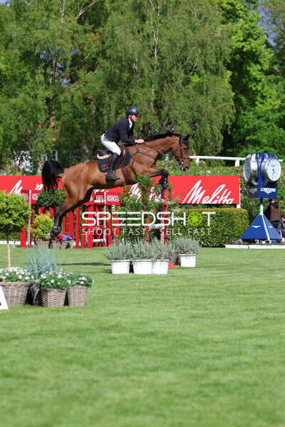Springreiten im Derbypark Klein Flottbek