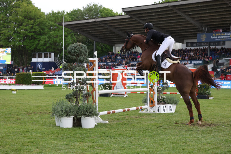 Springreiten im Derbypark Klein Flottbek