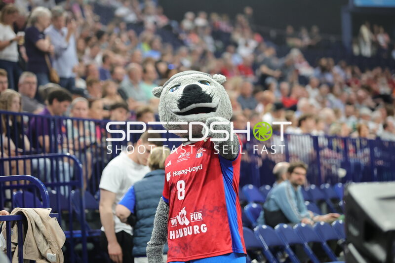HSV Hamburg Maskottchen bei Barclays Arena Handball Event