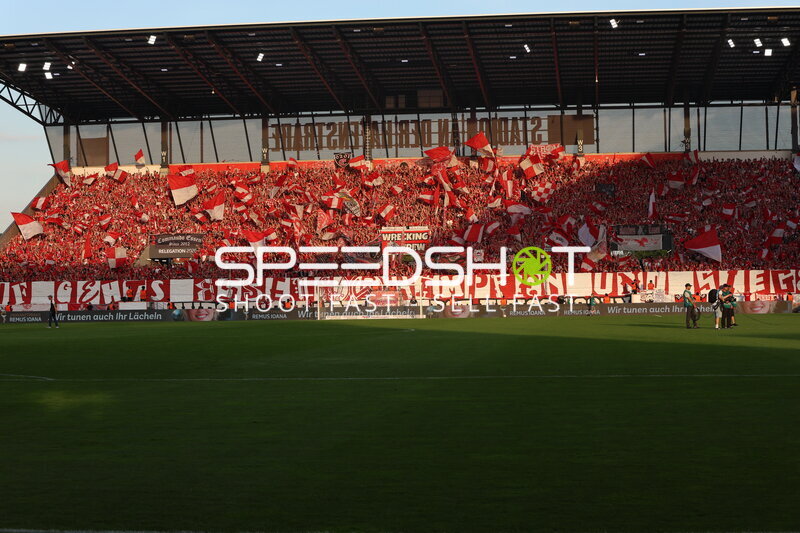 Fans feiern im Stadion
