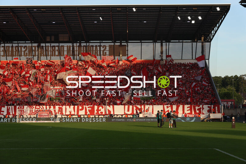 Fans feiern im Stadion