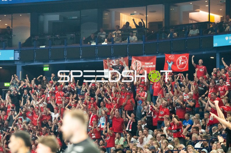 MT Melsungen Fans feiern in der Arena