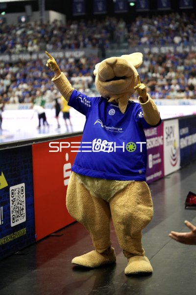 VfL Gummersbach Maskottchen feiert in der SCHWALBE arena