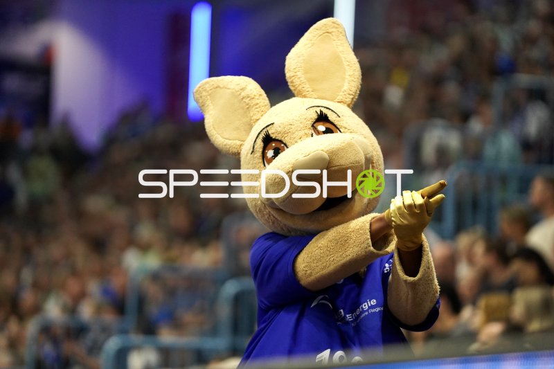VfL Gummersbach Maskottchen in der SCHWALBE arena