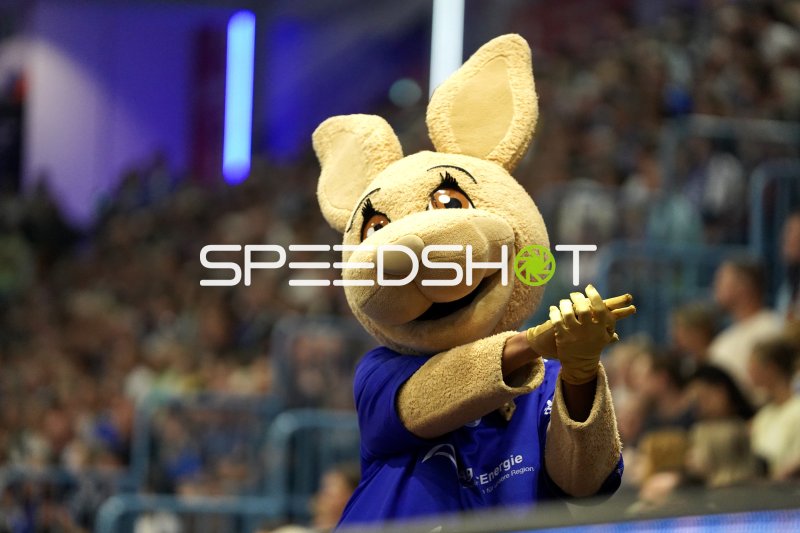 VfL Gummersbach Maskottchen in der SCHWALBE arena