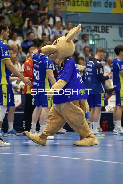 VfL Gummersbach Maskottchen mit Tom Kiesler (#30) beim Einlaufen