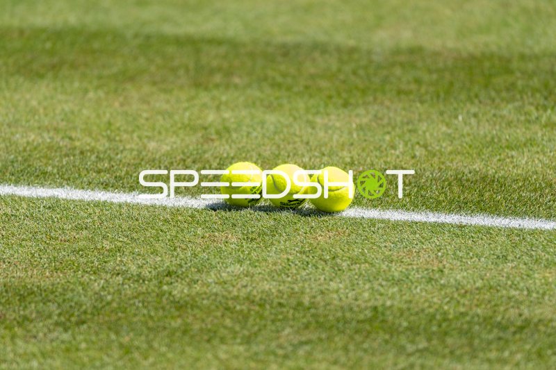 BOSS OPEN STUTTGART 2026 in Stuttgart