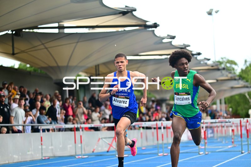 Adolfo Alvarez (#290) und Goncalves (Brasilien) im 110m-Hürdensprint