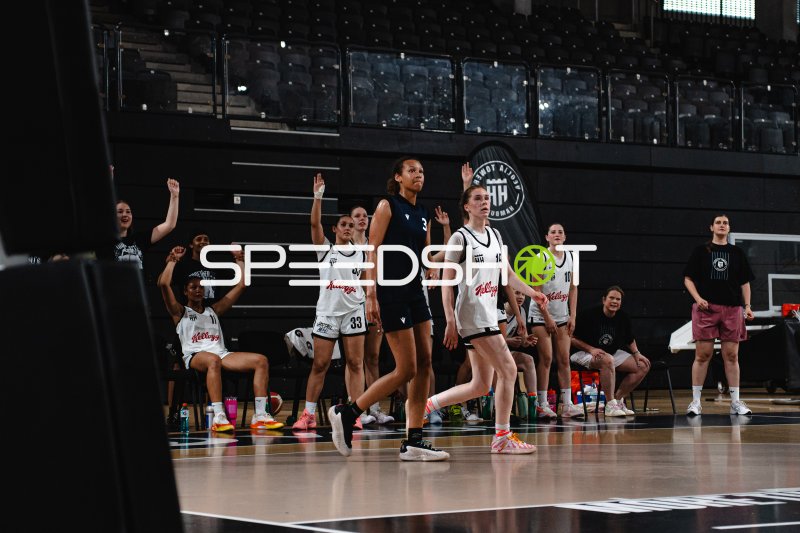 Basketballspiel in der Inselpark Arena Hamburg – Spielszene
