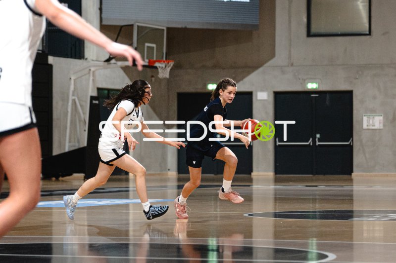 Dribbling-Aktion im Basketball-Spiel in der Inselpark Arena Hamburg