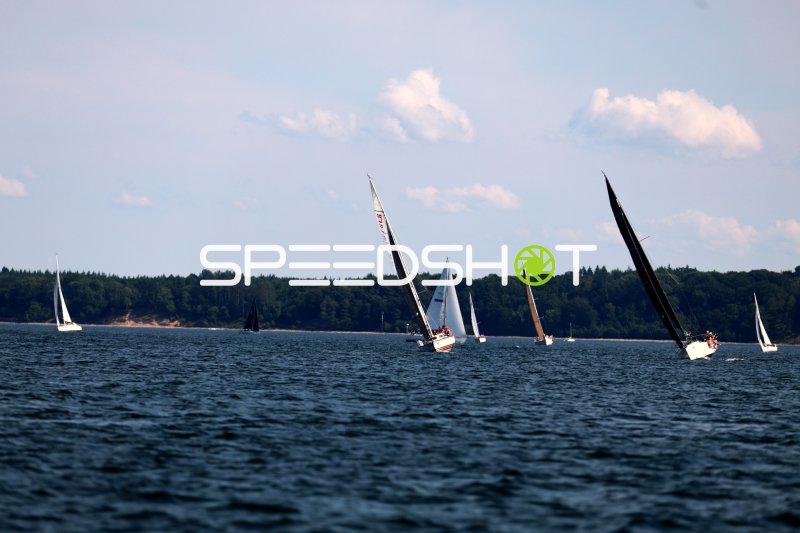 Segelregatta im Hafen Eckernförde mit mehreren Segelbooten