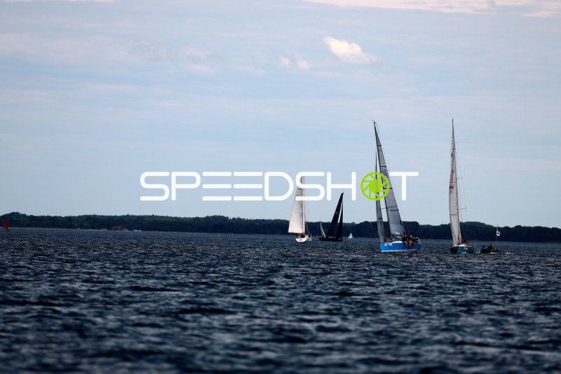 Segelregatta im Hafen Eckernförde mit mehreren Yachten