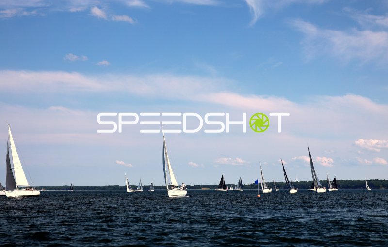 Segelregatta im Hafen Eckernförde mit mehreren Segelbooten