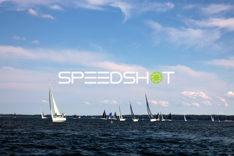 Segelregatta auf der Eckernförder Bucht mit zahlreichen Booten