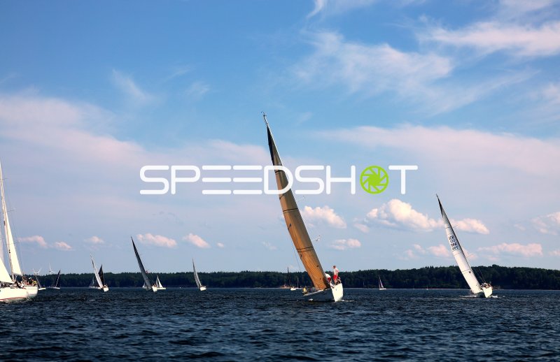 Segelregatta im Hafen Eckernförde mit mehreren Yachten