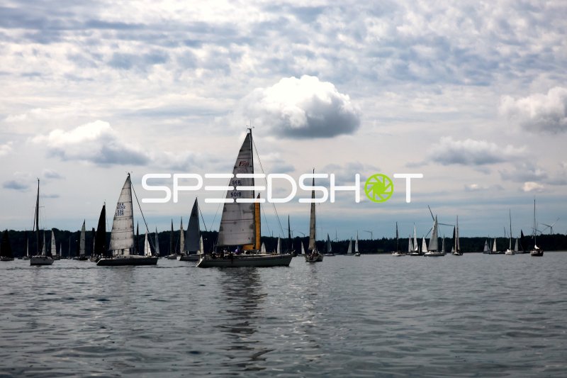 Segelregatta im Hafen Eckernförde mit mehreren Segelbooten