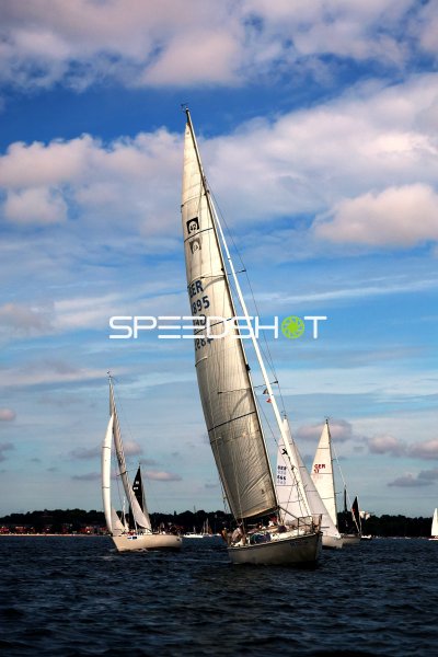 Segelregatta im Hafen Eckernförde mit mehreren Yachten