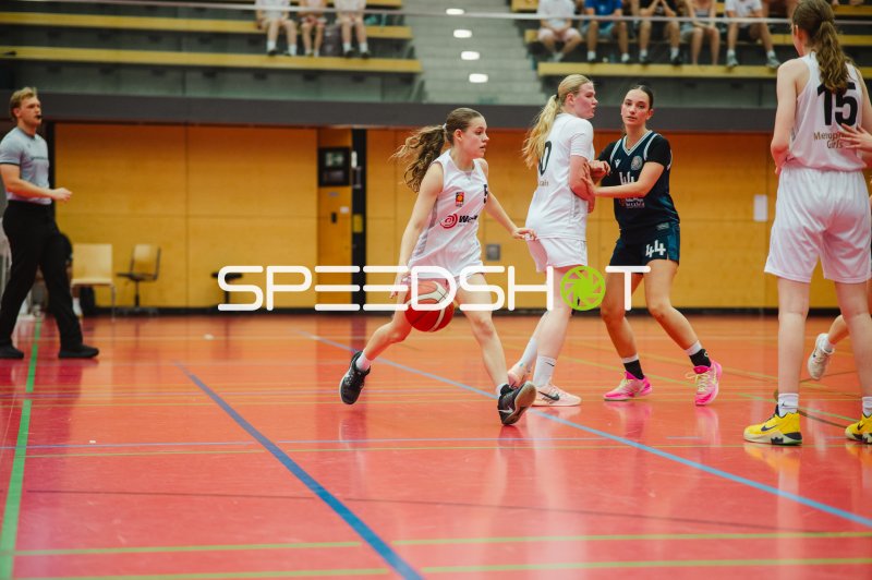 M Scheffler (#5; Metropolitain Girls) dribbelt gegen L Gärtner (#44; SG Bergische Löwen)