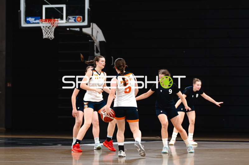P. Weinhold (#5; SG Bernau-Berlin-Nord) im Spielaufbau gegen Hamburg Bergedorf Eimsbüttel