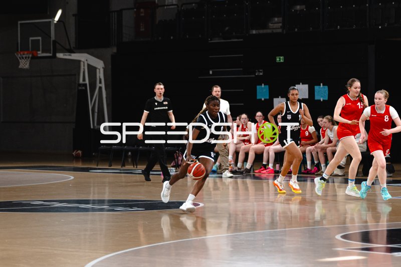 Hamburg Towers (#8) im Dribbling gegen Junior Suns Rendsburg