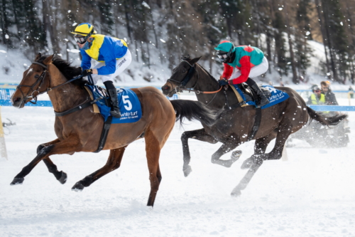 Pferderennen in St.Moritz