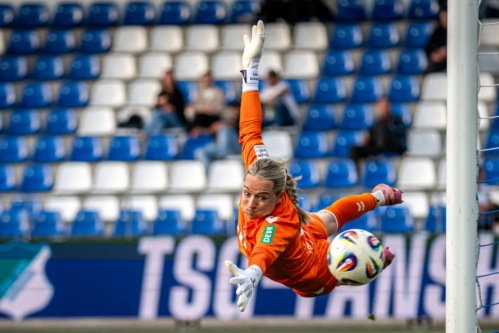 Torwartparade im Dietmar-Hopp Stadion